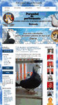 Mobile Screenshot of porumbeideperformanta.ro